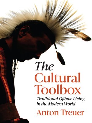 cover image of The Cultural Toolbox